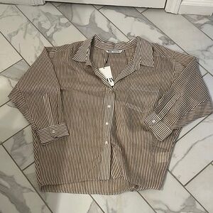 Zara Brown Striped Blouse